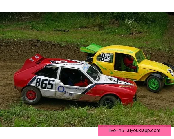 直播车平台足球赛事无法观看原因解析与解决方法全指南最新实用攻略